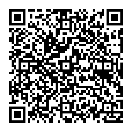 vCard 79236313581