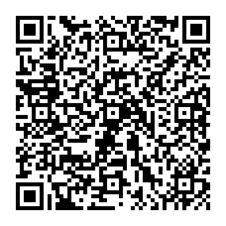 vCard 79236313675