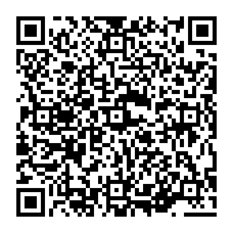vCard 79236313687