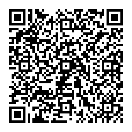 vCard 79236313714