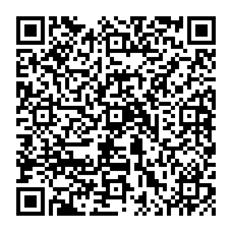 vCard 79236313728