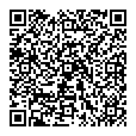 vCard 79236313729