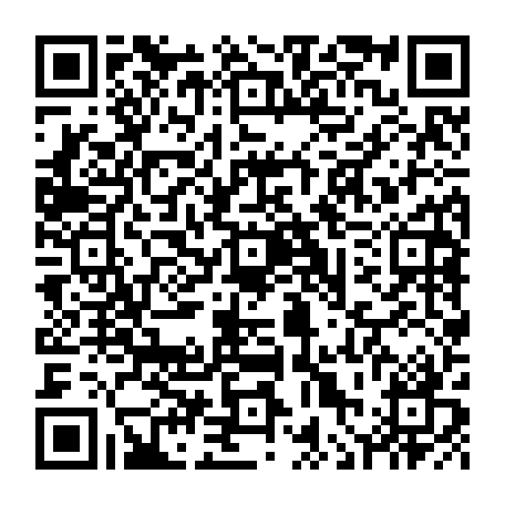 vCard 79236313733