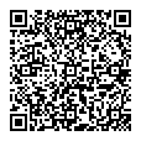 vCard 79236313773