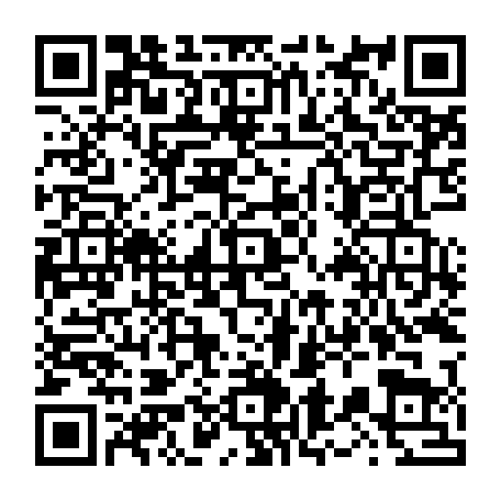 vCard 79236313803