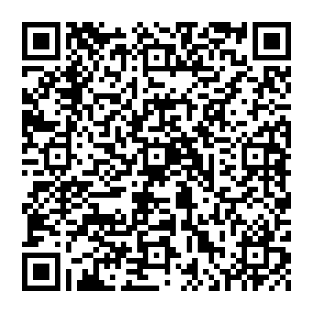 vCard 79236313819