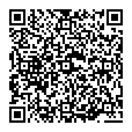 vCard 79236313825