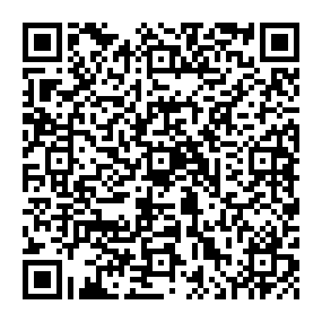 vCard 79236313833