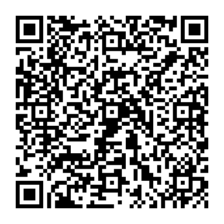 vCard 79236313847