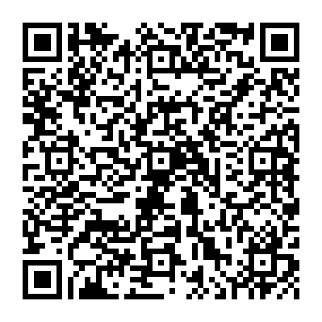 vCard 79236313875
