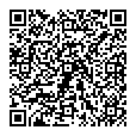 vCard 79236313879