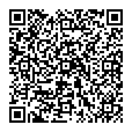 vCard 79236313880