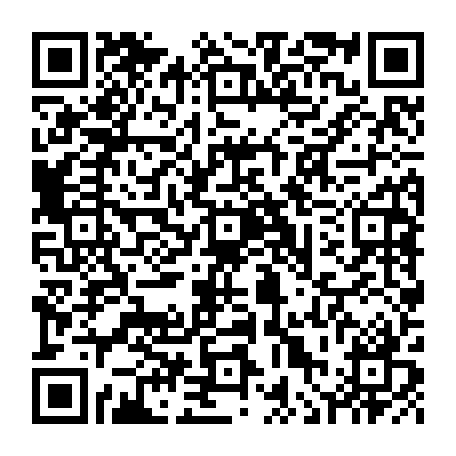 vCard 79236313899