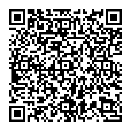 vCard 79236313935