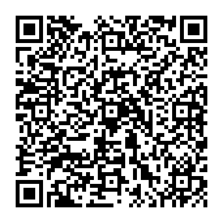 vCard 79236313937