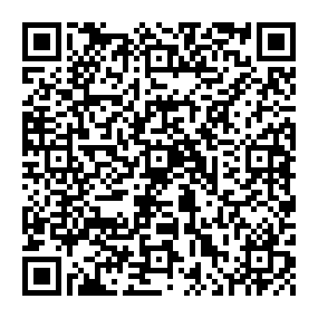 vCard 79236314003
