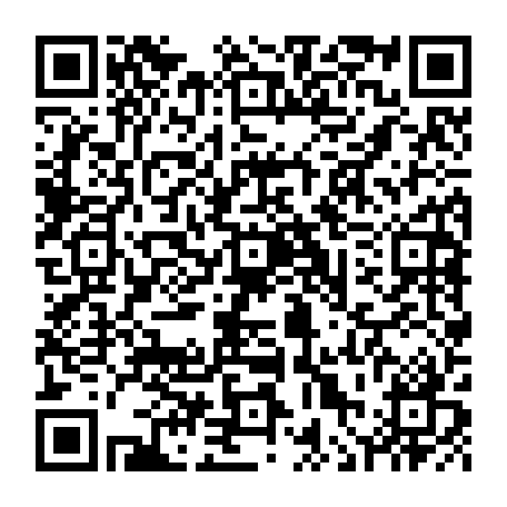 vCard 79236314159