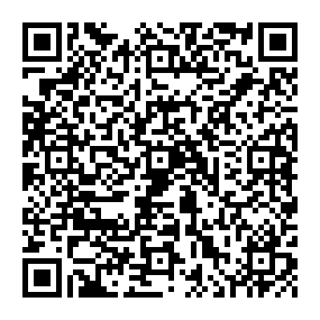 vCard 79236314347
