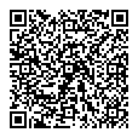 vCard 79236314413