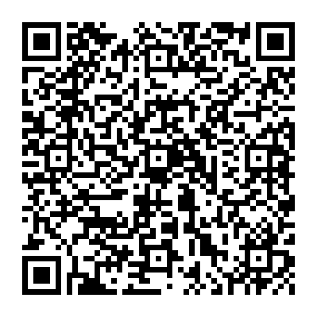 vCard 79236314697
