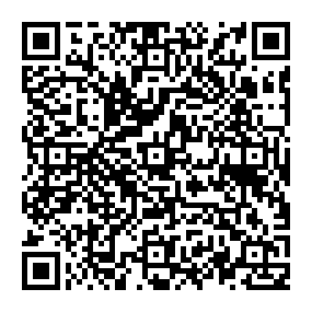 vCard 79236314771