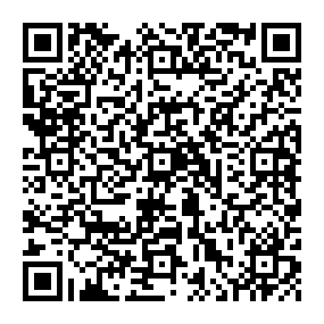 vCard 79236315264