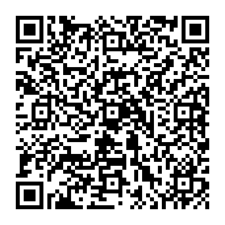 vCard 79236315389