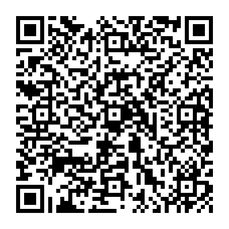 vCard 79236315401