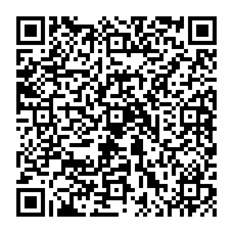 vCard 79236315493