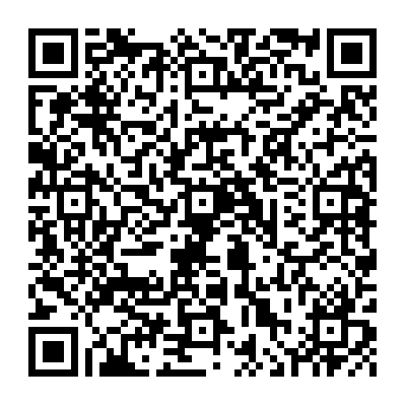 vCard 79236316377