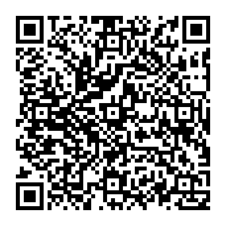 vCard 79236333219