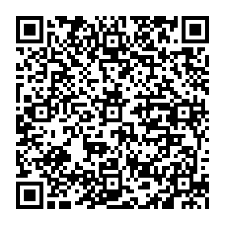 vCard 79236333337