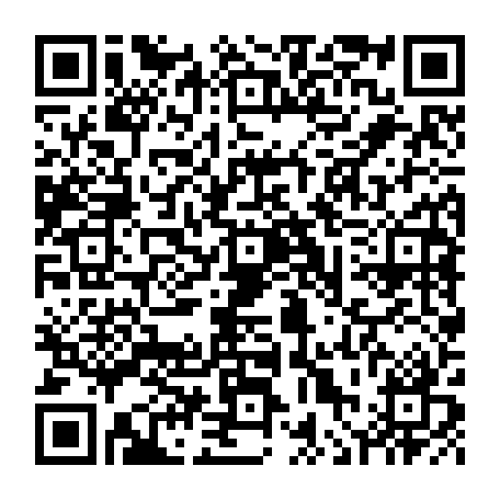 vCard 79236333747