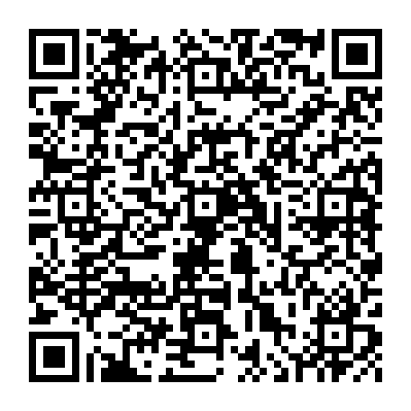 vCard 79236333777
