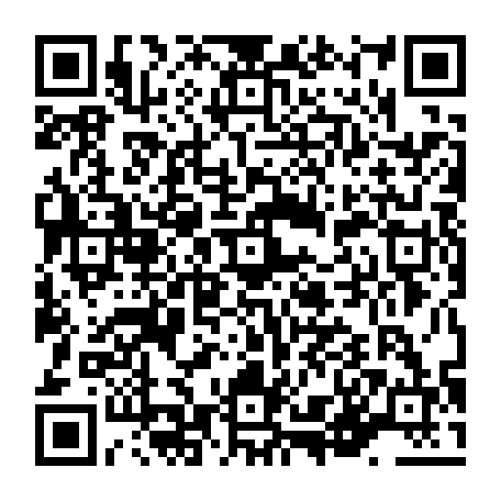 vCard 79236333806