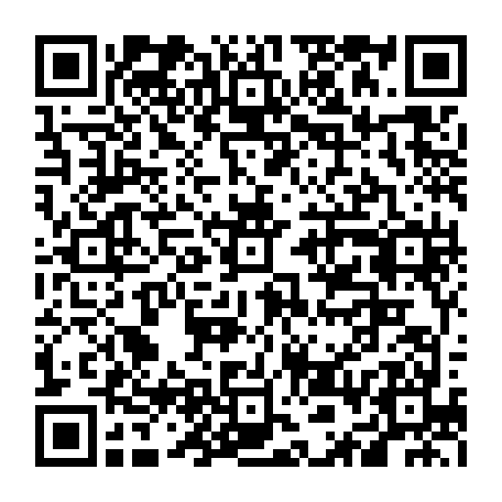 vCard 79236333827