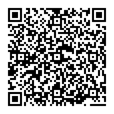 vCard 79236333847