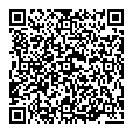 vCard 79236333999
