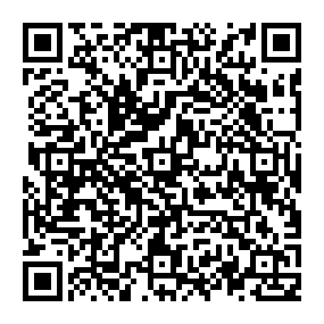 vCard 79236334173