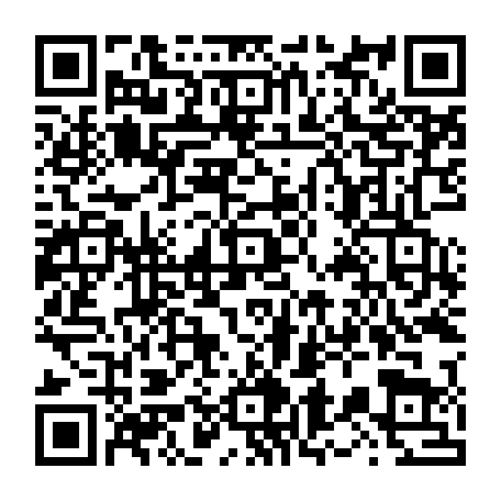 vCard 79236334573