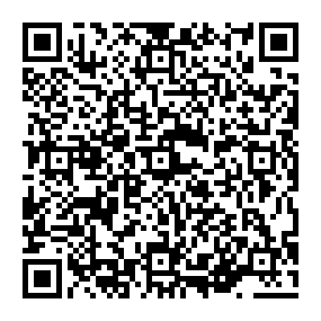 vCard 79236335417