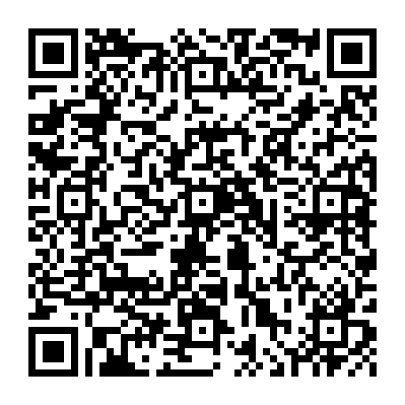 vCard 79236336874