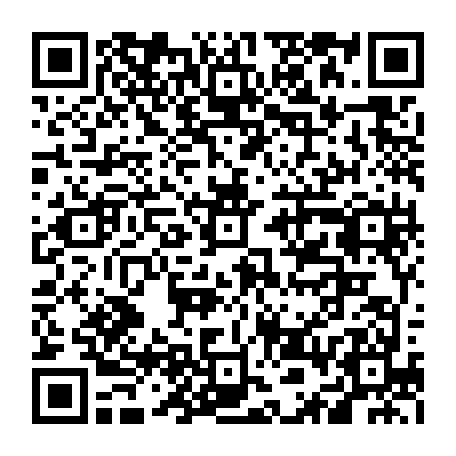 vCard 79236337089