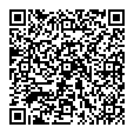 vCard 79236337229