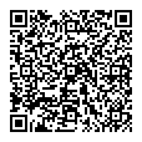 vCard 79236337351