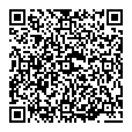 vCard 79236338079