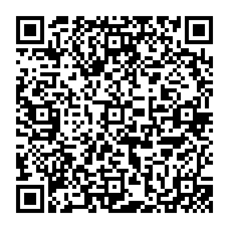 vCard 79236338133