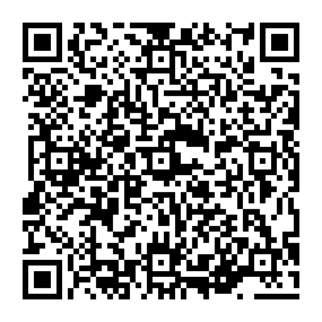 vCard 79236338305