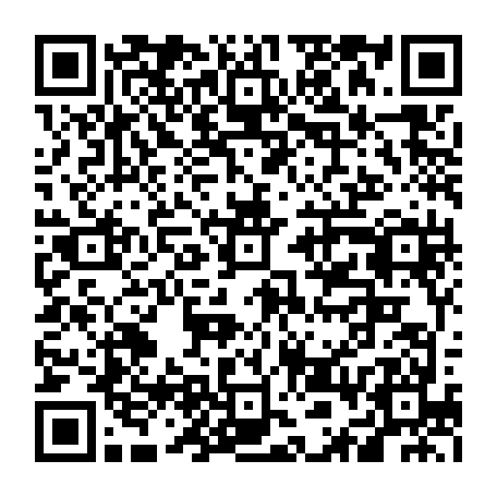vCard 79236338333