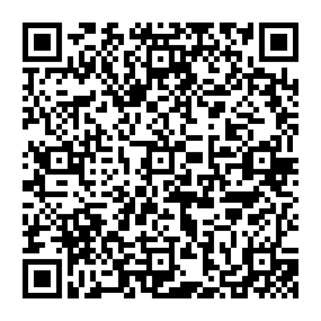 vCard 79236338357